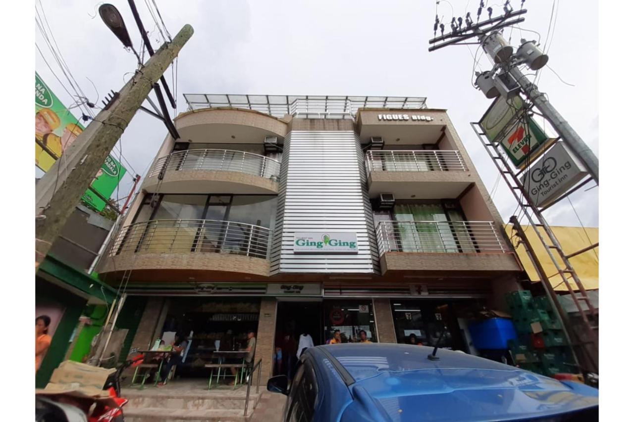 Ging-Ging Tourist Inn Badian Exterior foto